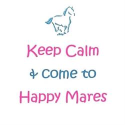 Happy Mares, Chulmleigh opening hours