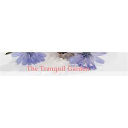 The Tranquil Garden Boutique, Hornchurch opening hours