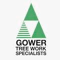 Gower Tree Work Specialists in Swansea (Loughor) - Opening Hours