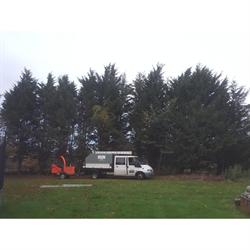 Birchwood Tree Care, Benfleet opening hours