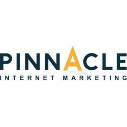 Pinnacle Internet Marketing Bristol, opening hours