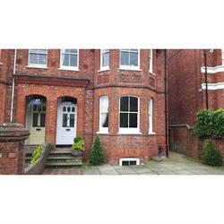 Wylie Sash Window Renovations, Nettlebed opening hours