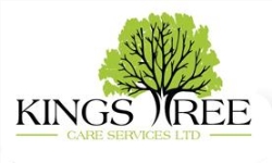 KINGS TREE CARE SERVICES LTD, Reading opening hours