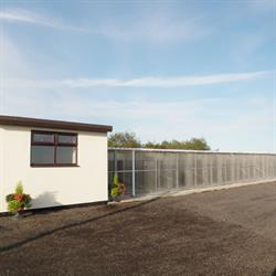 WINDMILL BOARDING KENNELS LIMITED, Sheffield opening hours