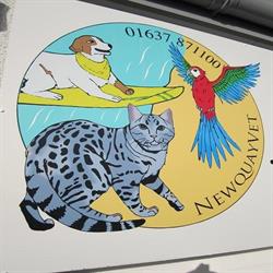 Newquay Vet, opening hours