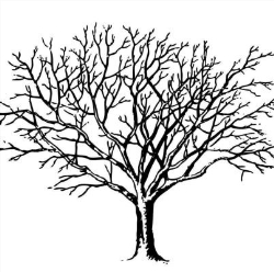 Quorn tree service, opening hours