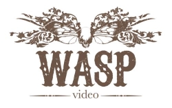 Wasp Video: Music Video Production Preston Lancashire & North West, opening hours
