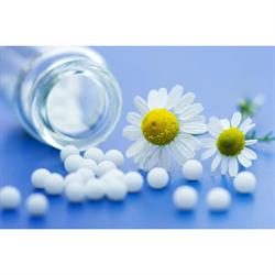 In the Pink Homeopathy, Watford opening hours