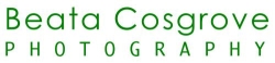 Engagements, Weddings, Portraiture, Events - Beata Cosgrove Photography in Bath (Beechen Cliff) - Opening Hours