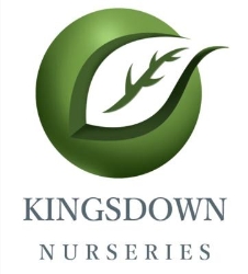 Kingsdown Nurseries in Swindon (Swindon) - Opening Hours
