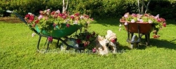 Gardeners Chigwell, opening hours