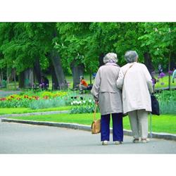 The Garden of England Homecare, Maidstone opening hours