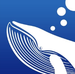 Big Blue Whale Video Production, Leeds opening hours