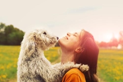 The Happy Pet Company, Carnforth opening hours