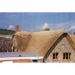 P.C Symonds Thatching, Bridport opening hours