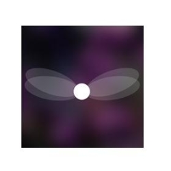 Talking Fly in Kings Hill (Kings Hill) - Opening Hours