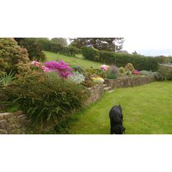 The South Hams Gardener, Paignton opening hours