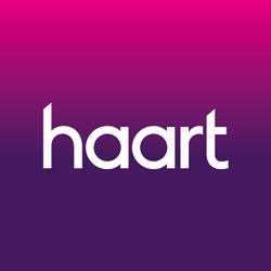 haart lettings agents Walthamstow (lettings), London opening hours
