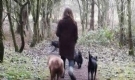 Gosdogwalking, Newcastle Upon Tyne opening hours