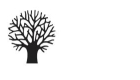 CLV Treeworks - Tree surgery & Stump removal St Albans in Park Street (Hertfordshire) - Opening Hours