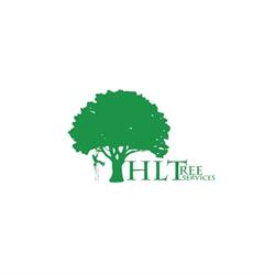 HLTree Services in Anstruther (Pittenweem) - Opening Hours