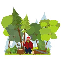 Arborist Direct Glasgow, opening hours