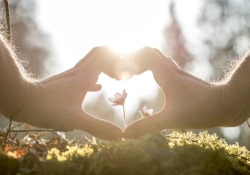 Dr Gail Hickman Counselling Psychologist, Darlington opening hours