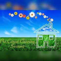 Pro Carpet Cleaning Swansea, Ystalyfera opening hours