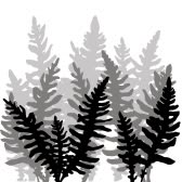 Plantings, Congleton opening hours