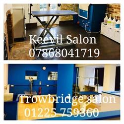 Just Paws Dog Grooming, Trowbridge opening hours
