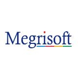 Megrisoft Limited, London opening hours