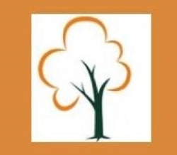 Head4Heights Tree Surgery, Billingshurst opening hours
