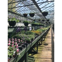 Kitts Green Nursery, Berkeley opening hours
