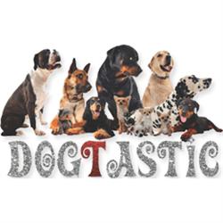 Dogtastic in St Albans (Bricket Wood) - Opening Hours