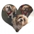 EP Dog Groomers, Watford opening hours