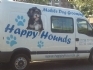 Happy Hounds Mobile Dog Grooming, Hayle opening hours