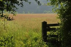 Secret Meadows, Hasketon opening hours