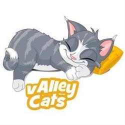 Valley Cats, Whitworth opening hours