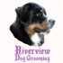 Riverview Dog Grooming, Wick opening hours