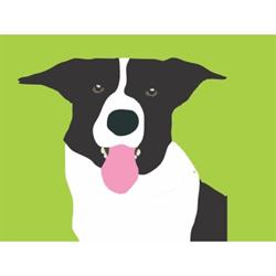 Country Cuts Mobile Dog Grooming by Siana, Leyburn opening hours
