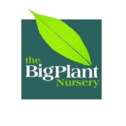 The Big Plant Nursery, Twyford opening hours