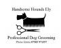 Handsome Hounds Ely, opening hours