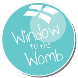 Window to the Womb Bagshot, opening hours
