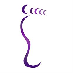 Feet Up Mobile Foot Clinic in Wrexham (Coedpoeth) - Opening Hours