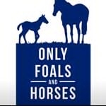 Only Foals & Horses, Accrington opening hours