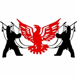 Phoenix Martial Arts - Farnham, opening hours