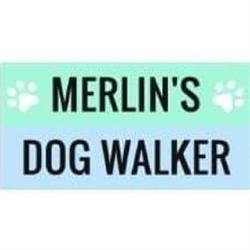 Merlin's Dog Walker, Woking opening hours