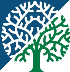 DRYAD TREE SPECIALISTS Ltd, Wood Street Village opening hours
