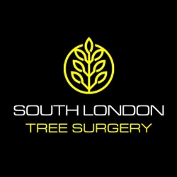 South London Tree Surgery, Bromley opening hours