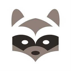 Raccoon Security Ltd, Newport opening hours